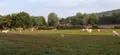 Maison a vendre Brie 02870 Aisne 02 101 m2 3 pièces 162440 euros 02014/916 006