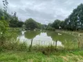 Terrains de loisirs bois etangs a vendre Louvigné-du-Désert 35420 Ille-et-Vilaine 35 36800 euros 135/178 001