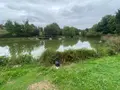 Terrains de loisirs bois etangs a vendre Louvigné-du-Désert 35420 Ille-et-Vilaine 35 36800 euros 135/178 002