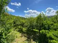 Maison a vendre Raulhac 15800 Cantal 15 70 m2 4 pièces 97520 euros 15061-105 010