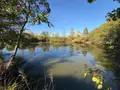 Terrains de loisirs bois etangs a vendre Alençon 61000 Orne 61 30 m2 74800 euros 61001-152 003