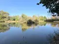 Terrains de loisirs bois etangs a vendre Alençon 61000 Orne 61 30 m2 74800 euros 61001-152 006