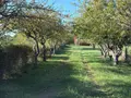Terrains de loisirs bois etangs a vendre Alençon 61000 Orne 61 30 m2 74800 euros 61001-152 012