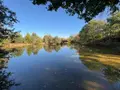 Terrains de loisirs bois etangs a vendre Alençon 61000 Orne 61 30 m2 74800 euros 61001-152 008