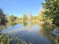 Terrains de loisirs bois etangs a vendre Alençon 61000 Orne 61 30 m2 74800 euros 61001-152 009