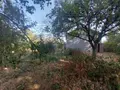 Terrains de loisirs bois etangs a vendre La Chapelle-Erbrée 35500 Ille-et-Vilaine 35 59800 euros 35131-367 001