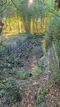 Terrains de loisirs bois etangs a vendre Saint-Célerin 72110 Sarthe 72 12640 euros 13808/730 004