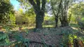 Terrains de loisirs bois etangs a vendre Saint-Célerin 72110 Sarthe 72 12640 euros 13808/730 006