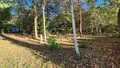 Terrains de loisirs bois etangs a vendre Saint-Célerin 72110 Sarthe 72 12640 euros 13808/730 009