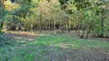 Terrains de loisirs bois etangs a vendre Saint-Célerin 72110 Sarthe 72 12640 euros 13808/730 010