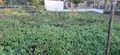 Maison a vendre Rougeries 02140 Aisne 02 47 m2 2 pièces 13440 euros 02014/918 003