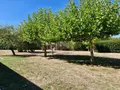 Maison a vendre Paulnay 36290 Indre 36 148 m2 6 pièces 192000 euros 1052929 015