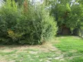 Maison a vendre Charmont-sous-Barbuise 10150 Aube 10 96 m2 4 pièces 167260 euros 10377/962 012