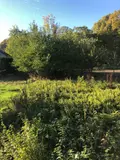 Maison a vendre Issoudun 36100 Indre 36 83 m2 3 pièces 79500 euros 11813/1554 013
