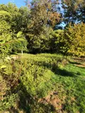 Maison a vendre Issoudun 36100 Indre 36 83 m2 3 pièces 79500 euros 11813/1554 014