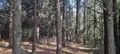 Terrains de loisirs bois etangs a vendre Trégarvan 29560 Finistère 29 18000 euros 29060-8 001