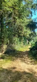 Terrains de loisirs bois etangs a vendre Trégarvan 29560 Finistère 29 18000 euros 29060-8 002