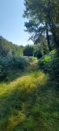Terrains de loisirs bois etangs a vendre Trégarvan 29560 Finistère 29 18000 euros 29060-8 003