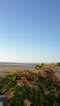 Terrains de loisirs bois etangs a vendre Trégarvan 29560 Finistère 29 18000 euros 29060-8 004