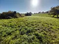 Maison a vendre Mecé 35450 Ille-et-Vilaine 35 172 m2 84800 euros 35131-375 013