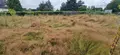Terrain a batir a vendre Cesson-Sévigné 35510 Ille-et-Vilaine 35 377 m2 228800 euros 35176/527 008