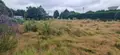 Terrain a batir a vendre Cesson-Sévigné 35510 Ille-et-Vilaine 35 377 m2 228800 euros 35176/527 010