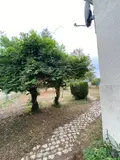 Maison a vendre Valençay 36600 Indre 36 60 m2 3 pièces 96600 euros 1052767 031