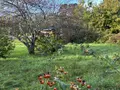 Maison a vendre Plonévez-du-Faou 29530 Finistère 29 49 m2 3 pièces 126000 euros 203 018