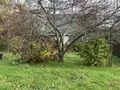 Maison a vendre Plonévez-du-Faou 29530 Finistère 29 49 m2 3 pièces 126000 euros 203 020