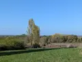 Terrain a batir a vendre Porte-de-Benauge 33760 Gironde 33 55000 euros 045/2236 003