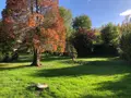 Maison a vendre Issoudun 36100 Indre 36 130 m2 5 pièces 241040 euros 11813/1556 016