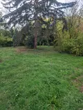 Maison a vendre La Chapelotte 18250 Cher 18 66 m2 3 pièces 55000 euros 18016/2261 002