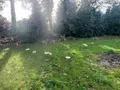 Bien agricole a vendre Scaër 29390 Finistère 29 6200 euros 29122-TA-156 008