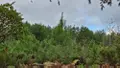 Terrains de loisirs bois etangs a vendre Roëzé-sur-Sarthe 72210 Sarthe 72 7000 euros HB-1901 001