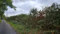 Terrains de loisirs bois etangs a vendre Roëzé-sur-Sarthe 72210 Sarthe 72 7000 euros HB-1901 003