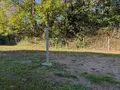 Maison a vendre Rosporden 29140 Finistère 29 76 m2 3 pièces 262000 euros 2568 003