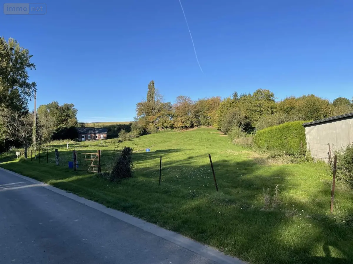 Terrain a batir a vendre Iron 02510 Aisne 02 4290 m2 29900 euros 087/2392 001