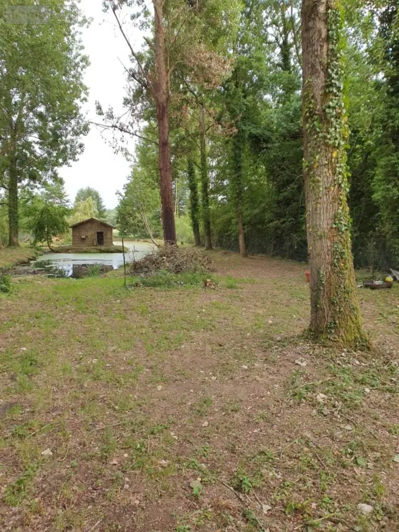 Terrains de loisirs bois etangs a vendre Guise 02120 Aisne 02 34000 euros 087/3049 001