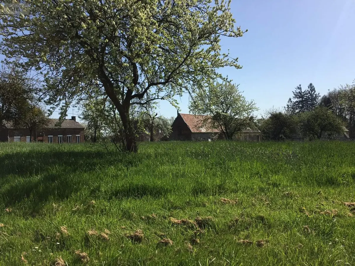 Terrain a batir a vendre Wiège-Faty 02120 Aisne 02 912 m2 23000 euros 087/2300 001