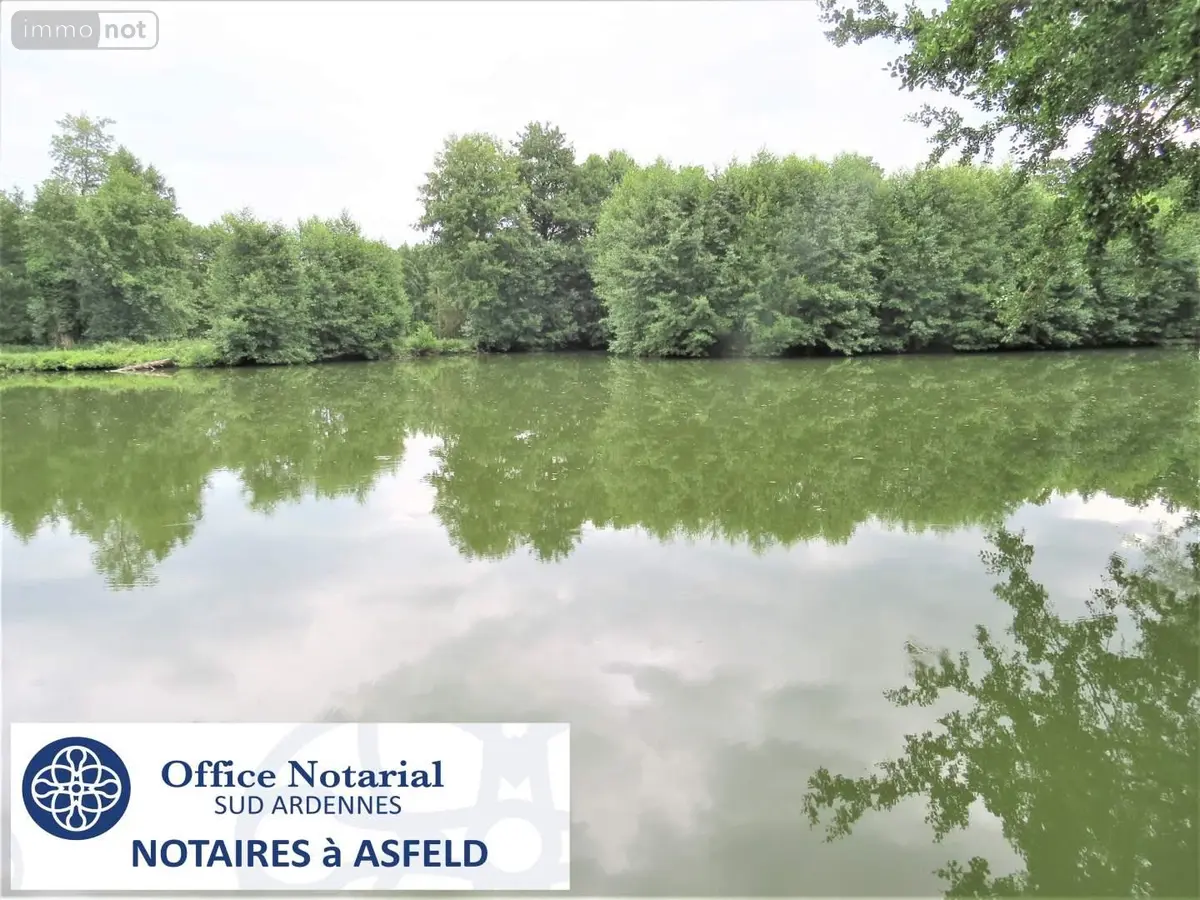 Terrains de loisirs bois etangs a vendre Fraillicourt 08220 Ardennes 08 98600 euros 021/1750 001