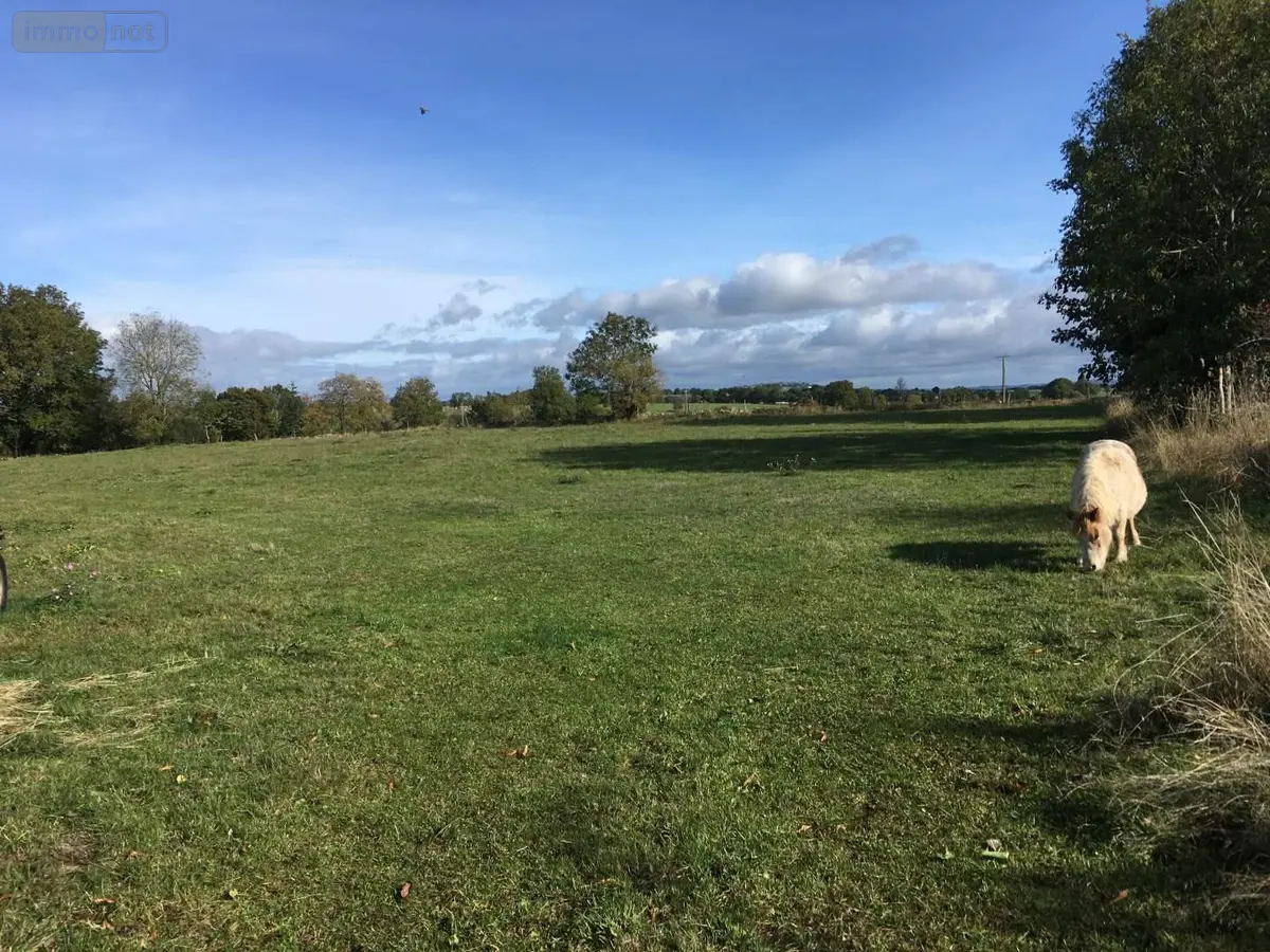Terrain a batir a vendre Neuvéglise-sur-Truyère 15260 Cantal 15 2500 m2 53000 euros 044/1007 001
