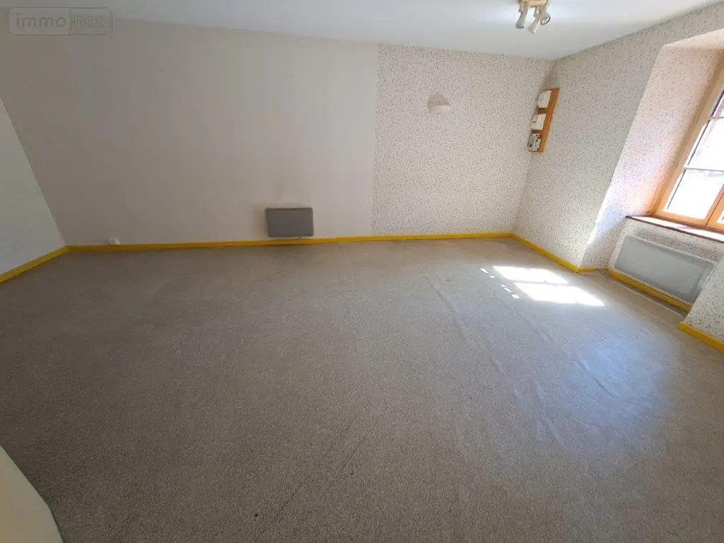 Location fonds et murs commerciaux Saint-Flour 15100 Cantal 15 120 m2 4 pièces 800 euros 044/1047 001