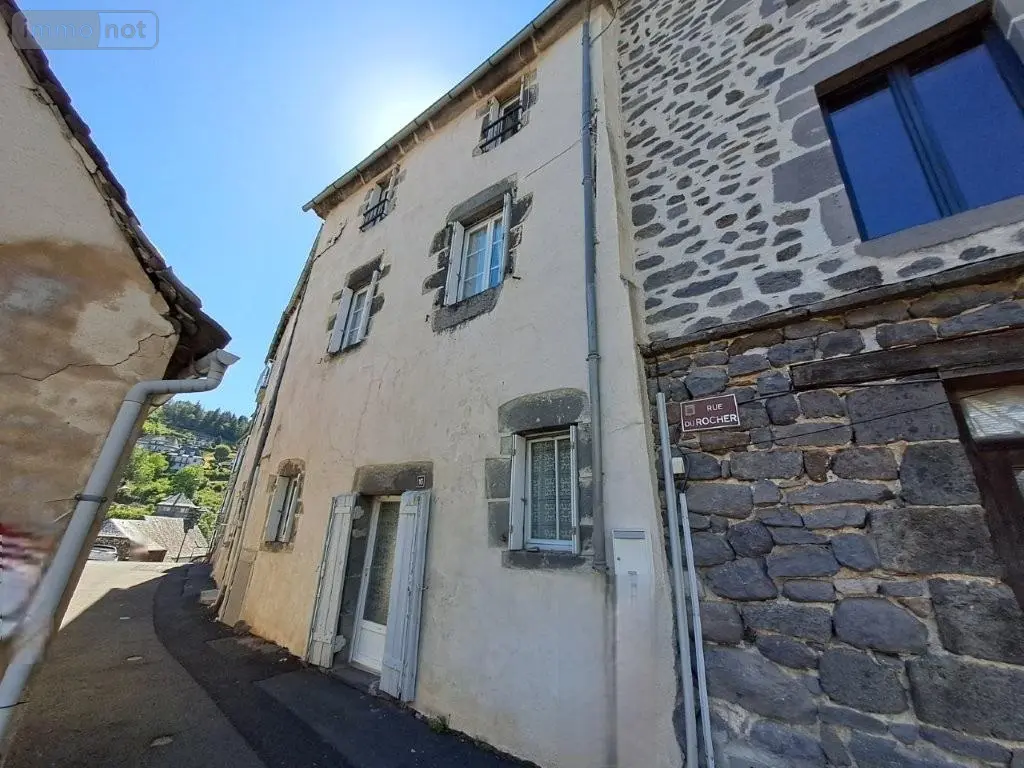 Immeuble de rapport a vendre Pierrefort 15230 Cantal 15 108 m2 6 pièces 66000 euros 044/1080 001