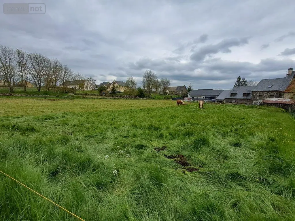 Terrain a batir a vendre Coltines 15170 Cantal 15 2436 m2 39000 euros 044/1129 001