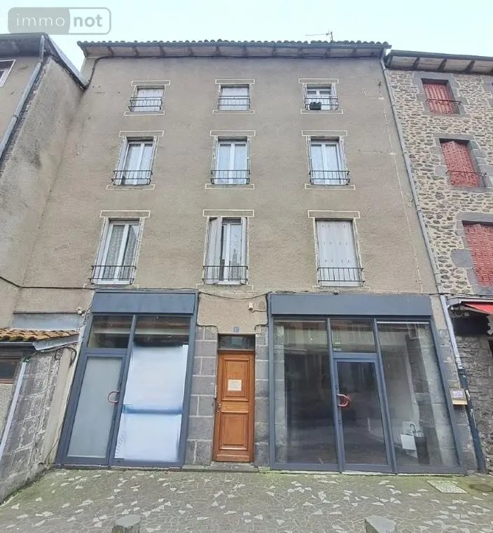 Immeuble de rapport a vendre Saint-Flour 15100 Cantal 15 190 m2 11 pièces 371000 euros 044/1247 001