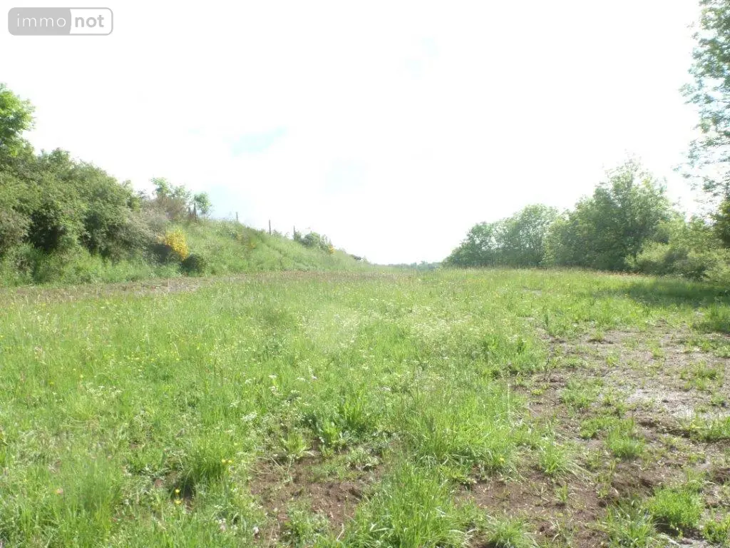 Terrain a batir a vendre Coren 15100 Cantal 15 3640 m2 63172 euros 044/438 001