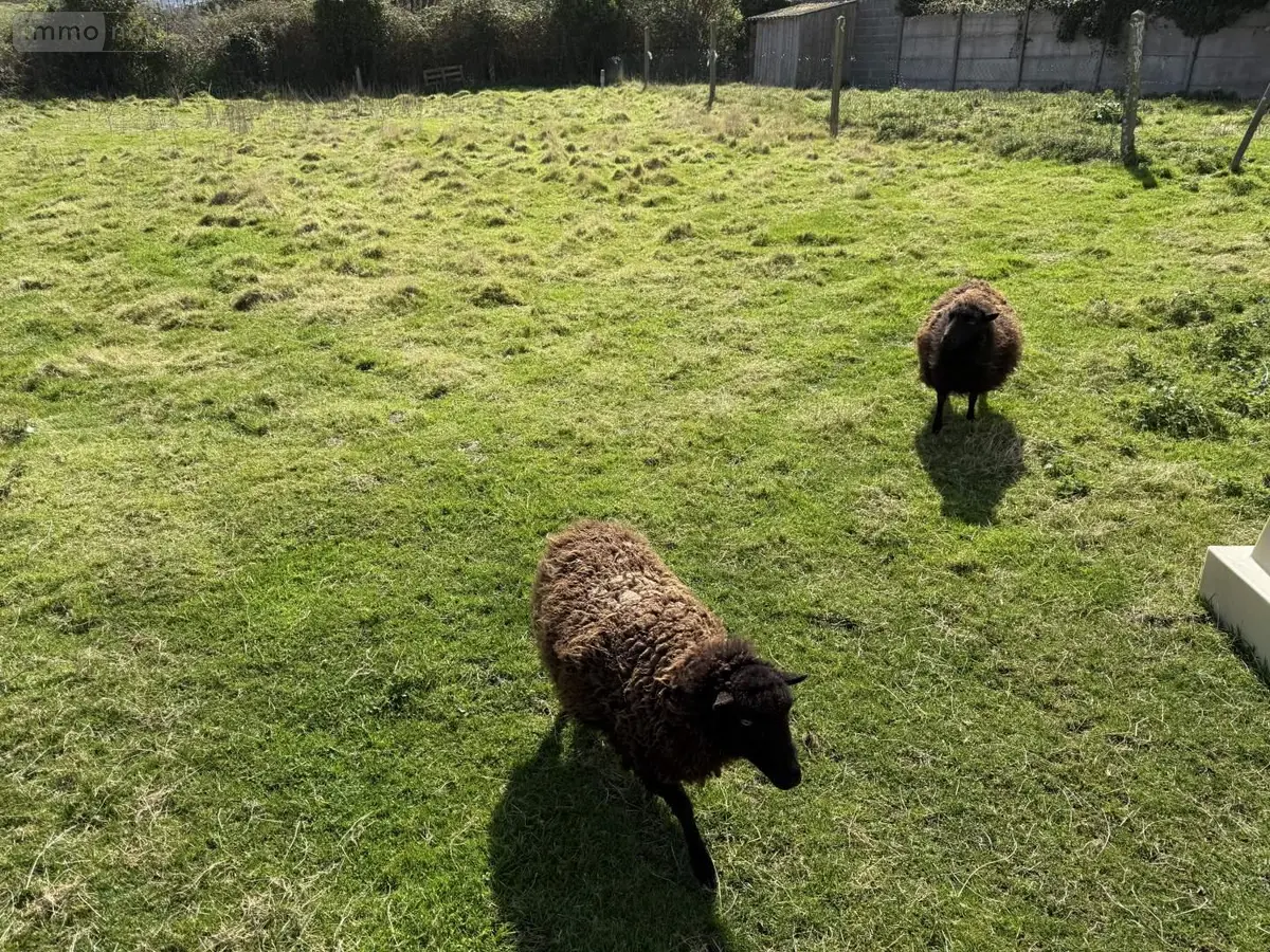 Terrain a batir a vendre Pléneuf-Val-André 22370 Côtes-d'Armor 22 643 m2 297825 euros 025/2582 001