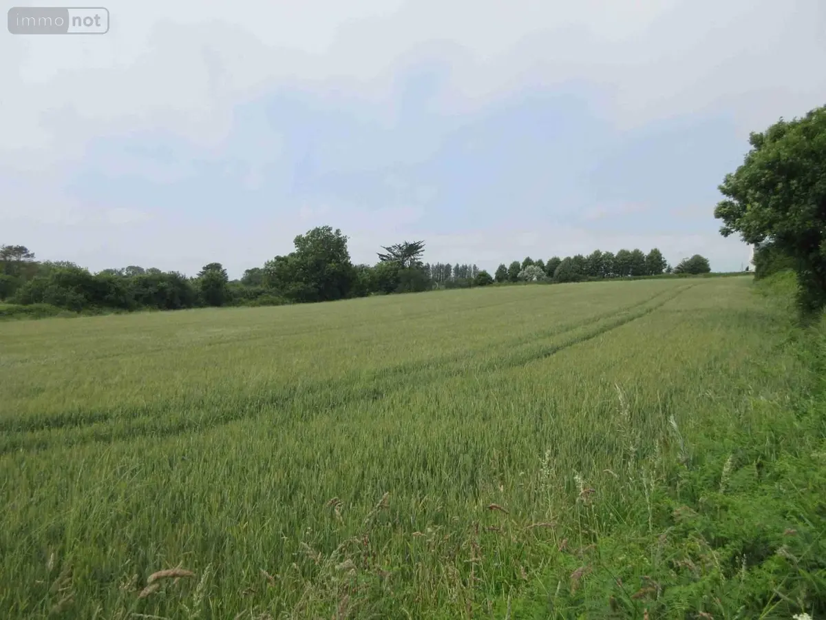 Maison a vendre Plouhinec 29780 Finistère 29 1 m2 1 pièce 170523 euros 020/3662 001