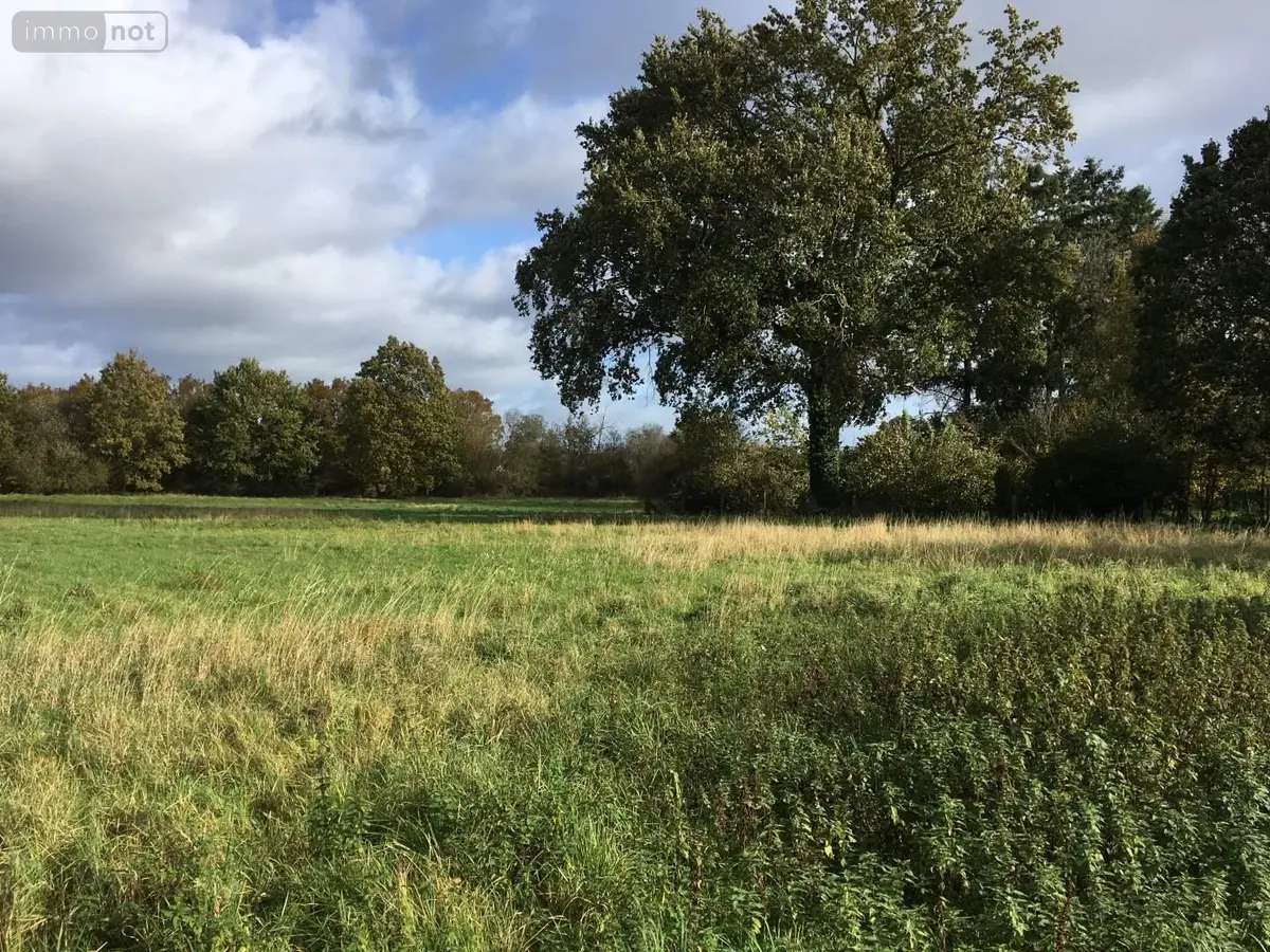 Terrain a batir a vendre Servon-sur-Vilaine 35530 Ille-et-Vilaine 35 1100 m2 157800 euros 134/4096 001