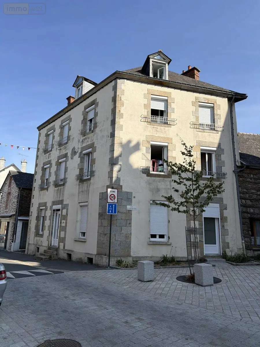 Immeuble de rapport a vendre Val d'Anast 35330 Ille-et-Vilaine 35 176 m2 14 pièces 379000 euros 136/5277 001